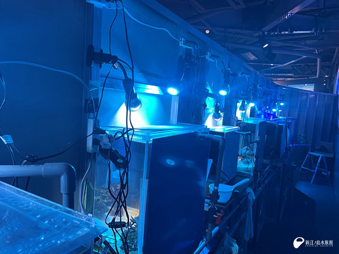 相模湾ゾーン 相模湾大水槽 相模の沖 前の水槽裏