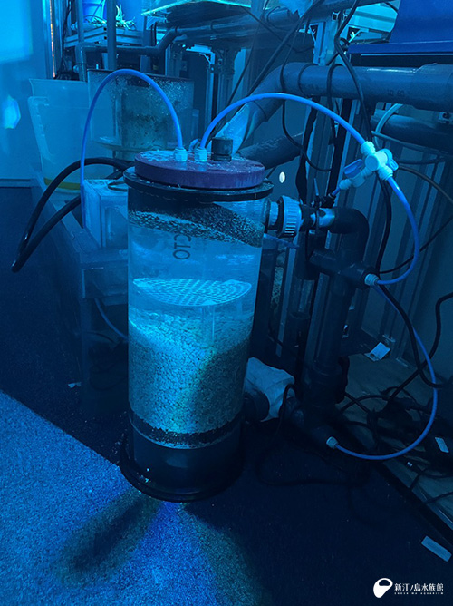 カルシウムリアクター