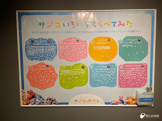 サンゴいろいろくらべてみた　あなたはどのタイプ？パネル