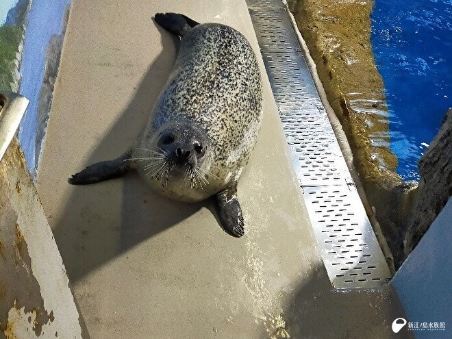 扉を開けても驚かず「なになに？」と私を見てくれている！ 