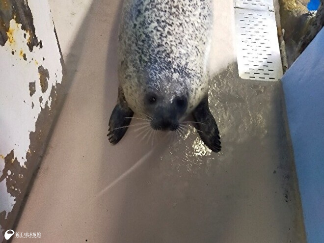 少し前進！！ 「まだ進む？」と前のめり！