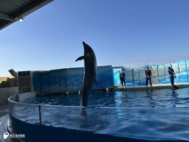 真っ直ぐ飛び出して、