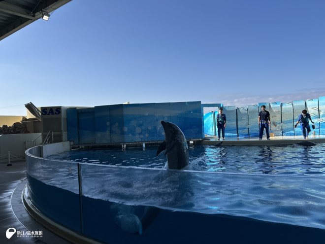 真っ直ぐプールに戻る！！