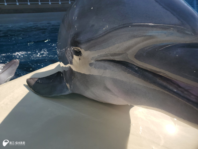 写真を撮っていたら、カメラにより近づいてきた「ルイ」