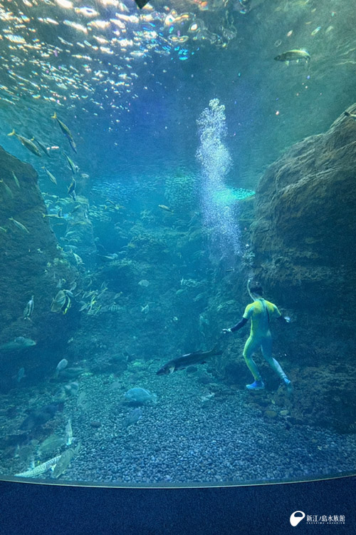 初めて潜った相模湾大水槽