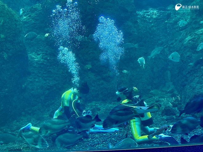 ウエイトベルト以外の装備を外しました！ ここから再装着していきます！