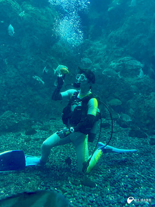 大水槽の生き物と戯れる花上