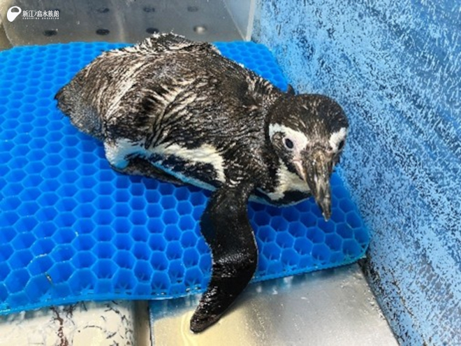 きょうの「サニー」