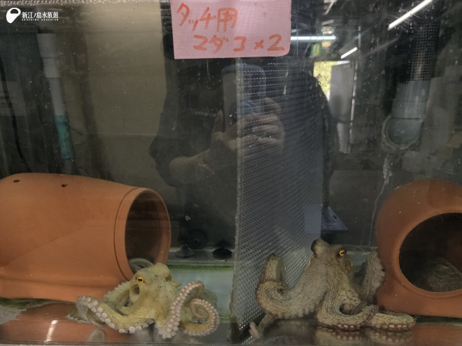 気になる気になる。