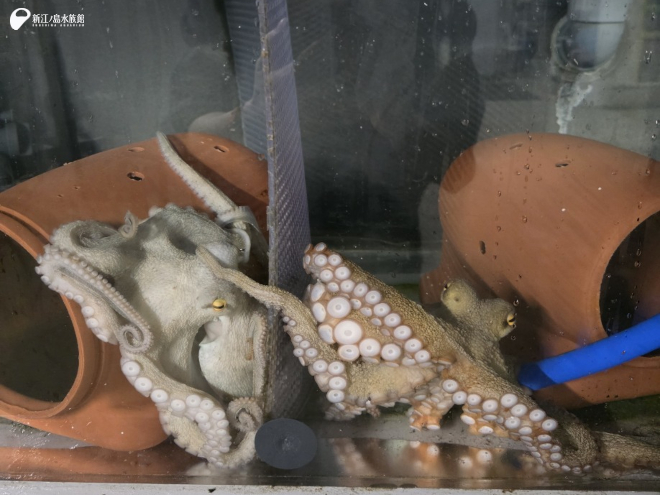 気になる気になる。