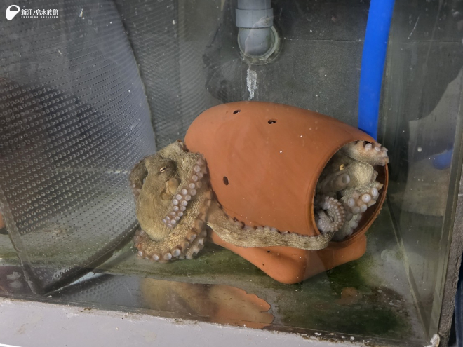 気付いたら一緒。