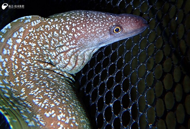 2021年の搬入直後