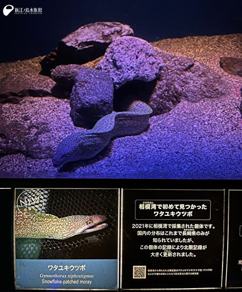 真ん中に来てくれるよう奮闘中…！