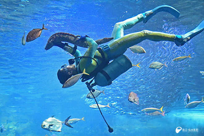 えのすいトリーターとさかなたちのふれあいタイム　