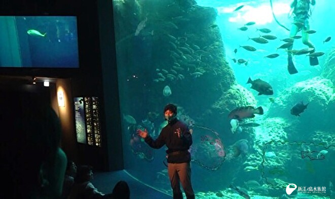 フィンズ中の西川