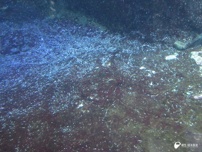 相模湾大水槽の点々