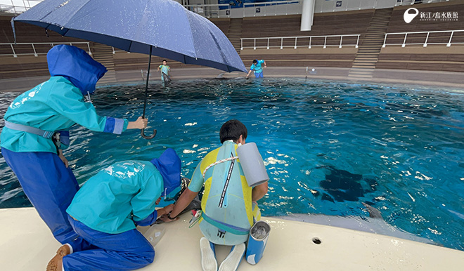 実際の雨の日の採血がこちら