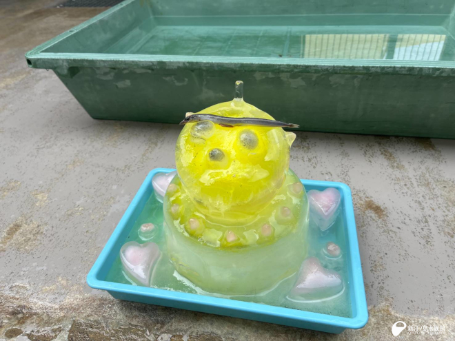 お手製氷ケーキ