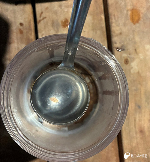 オオタルマワシをお玉で移動しているようす
