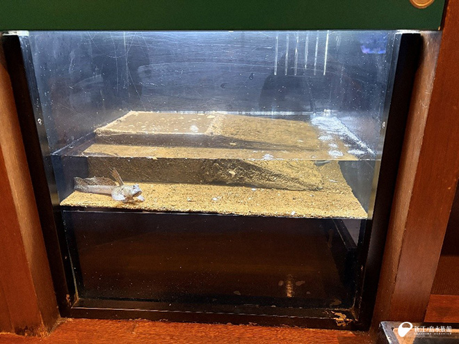 完成した水槽