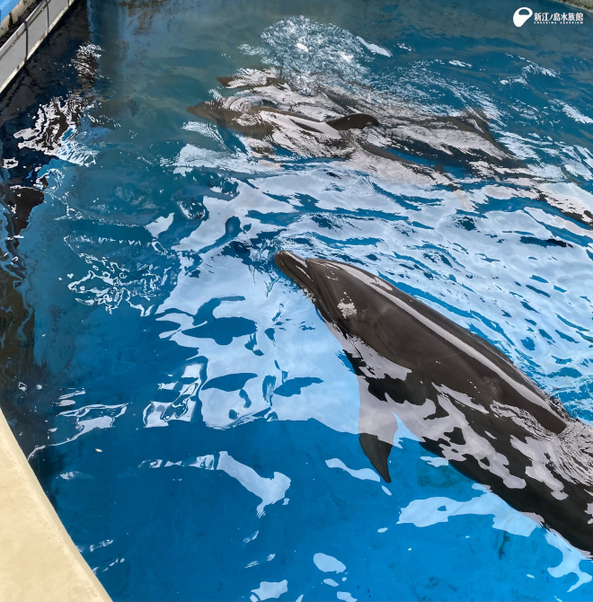 上から、「ミュー」／子ども／「シリアス」