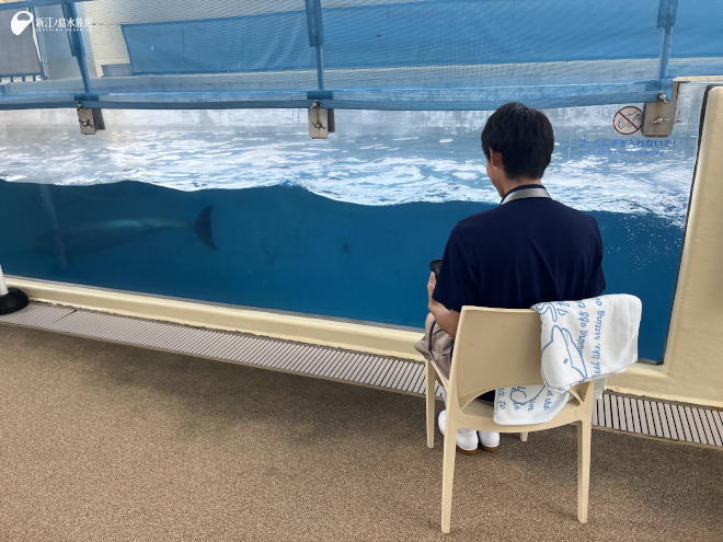 行動観察しているようす