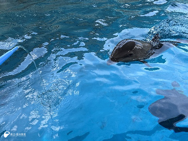 散水に興味津々！ 近づいてきたけど…