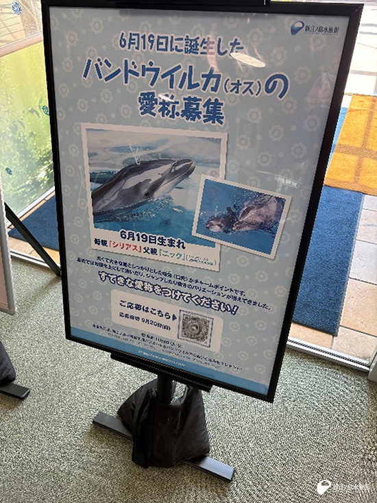 こちらのポスターが館内に設置あります。
