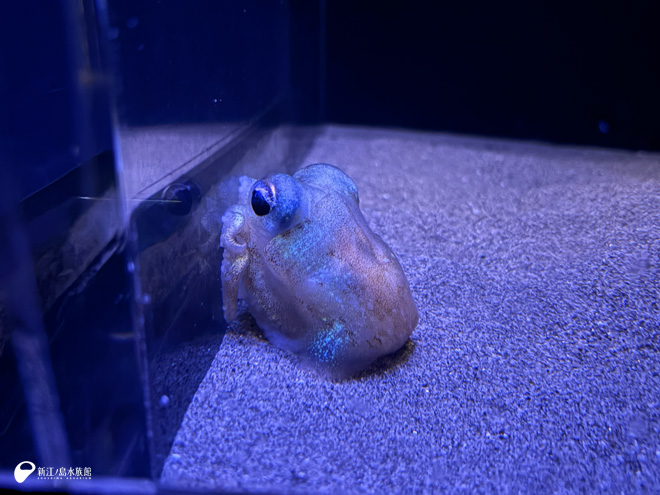 アクリルガラスにくっつくようす