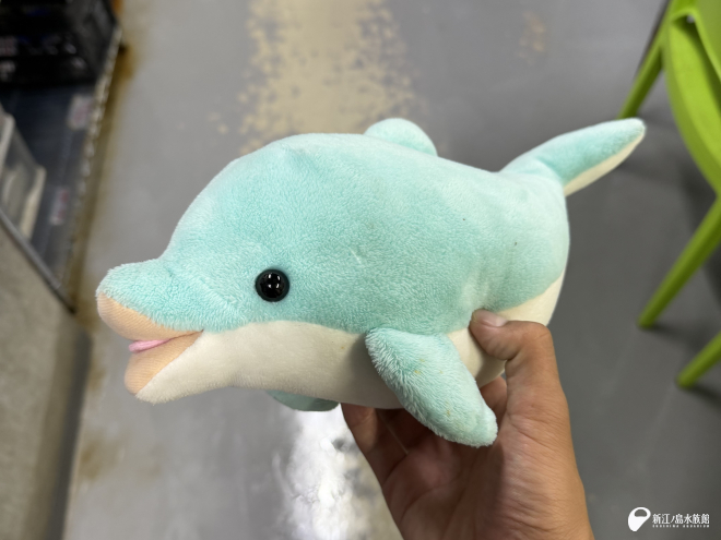 練習相手はイルカのぬいぐるみです。