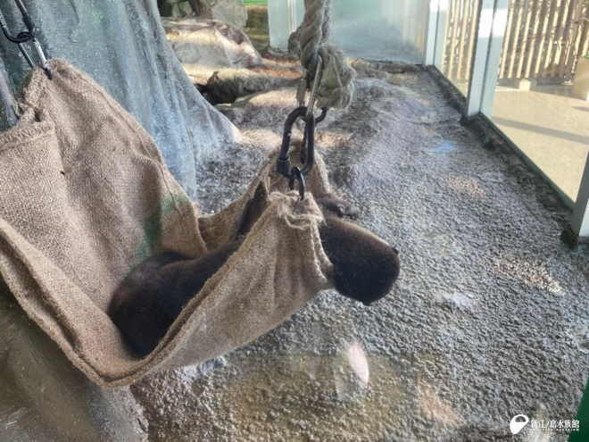 珍しく頭がこぼれていた「ヨモギ」