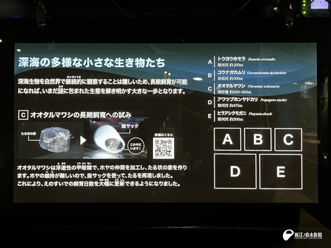 新しい解説パネル