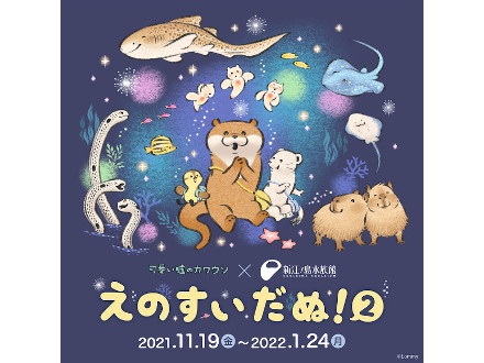 タイムスケジュール 新江ノ島水族館