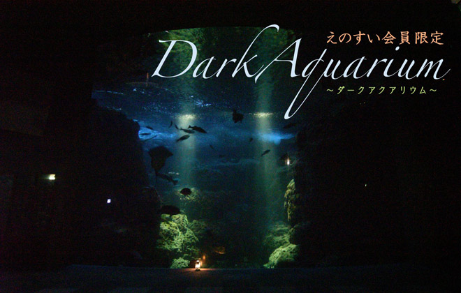 えのすい会員限定 Darkaquarium ダークアクアリウム スペシャル イベント 新江ノ島水族館