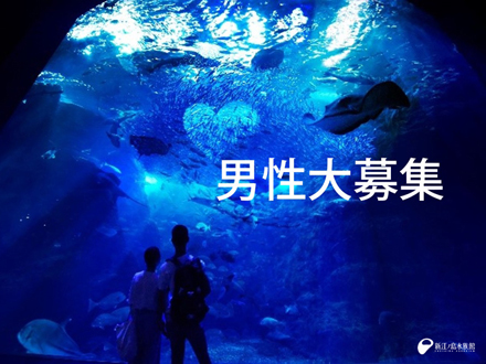 新江ノ島水族館