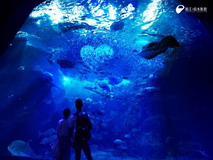 新江ノ島水族館