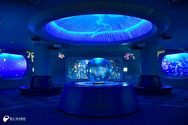 クラゲファンタジーホール 展示演出 ～春～