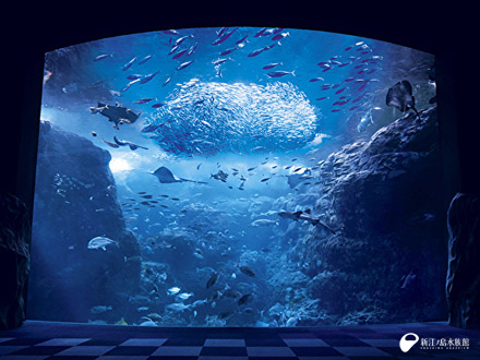 新江ノ島水族館「お泊りナイトツアー」5/21-22 2名分