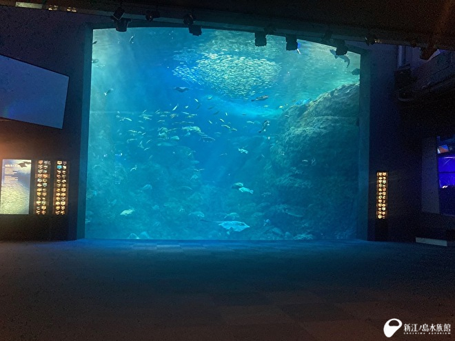 会場：相模湾大水槽前