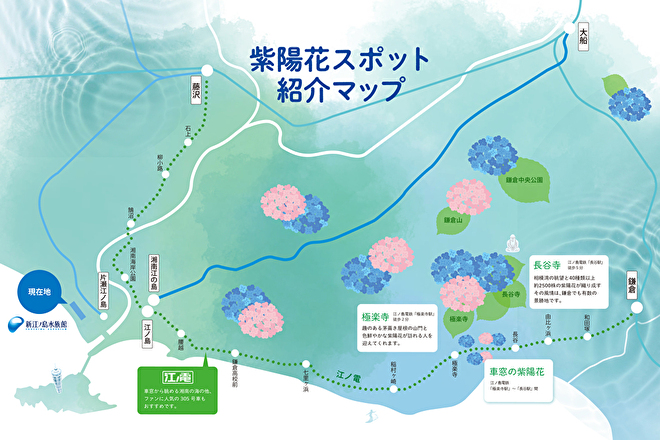 紫陽花マップ（イメージ）
