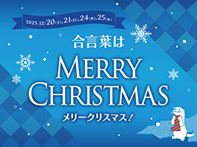 えのすいクリスマス 合言葉はメリークリスマス！ | イベント | 新