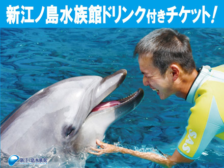 新着情報 新江ノ島水族館 新着情報 新江ノ島水族館