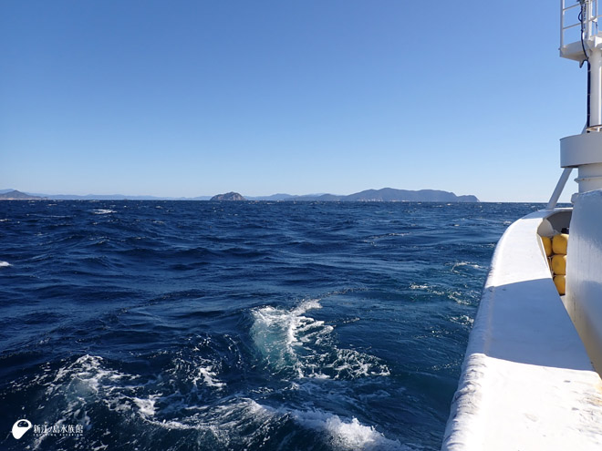 本日の海況