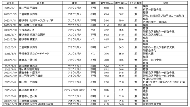 2023年ストランディング記録