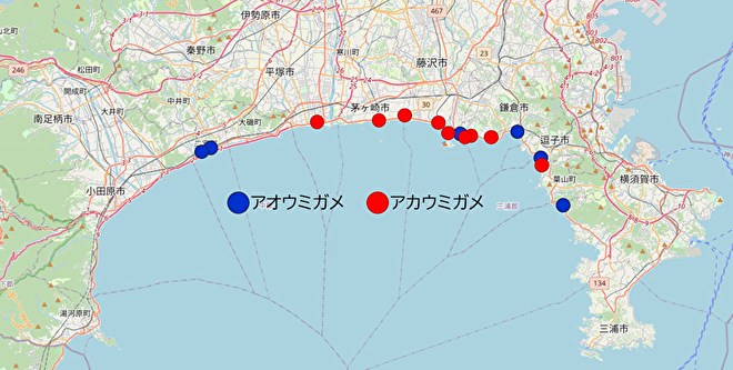 2023年ストランディングポイント