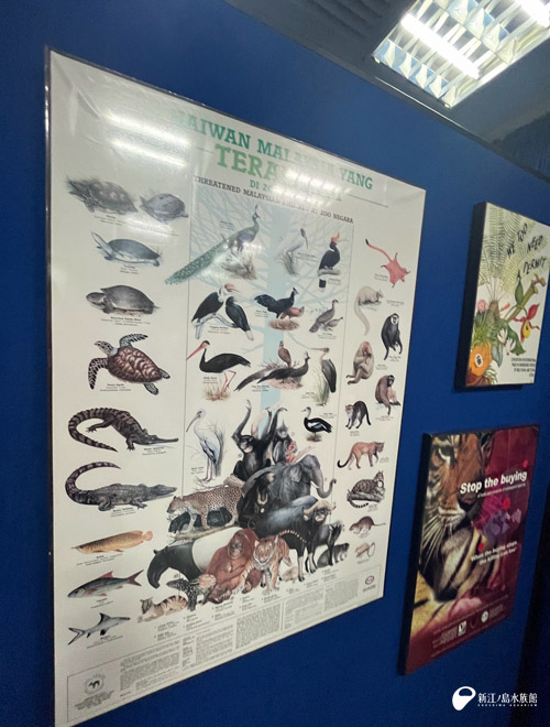マレーシアの生き物たちが描かれたポスター