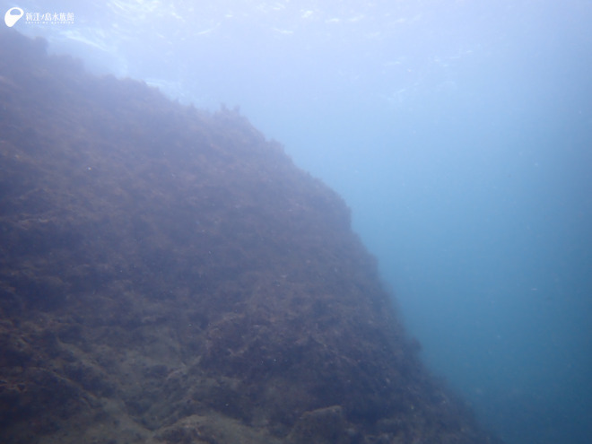 10月の江の島の海の中