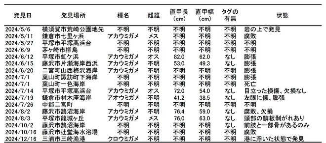 2024年ストランディング記録