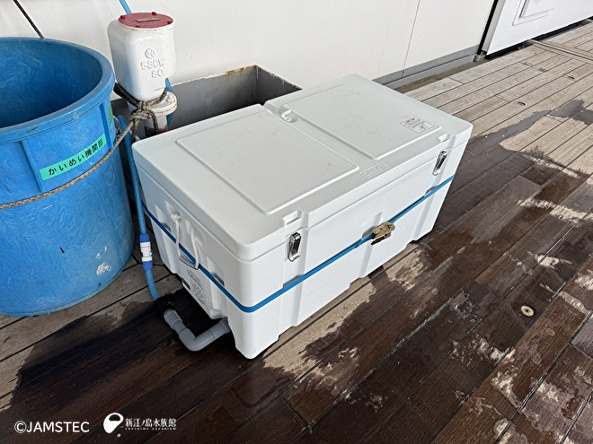 冷海水かけ流しのクーラーボックス