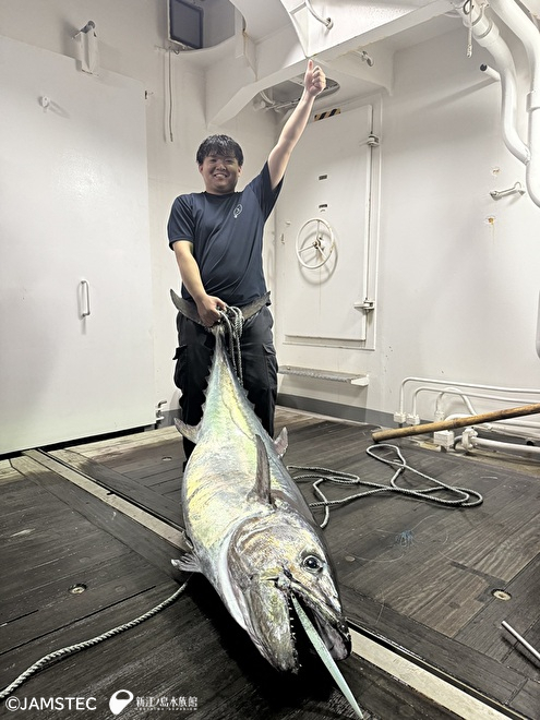 釣獲調査で釣れた巨大イソマグロ
